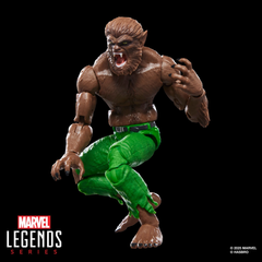 Marvel Legends Series Werewolf By Night